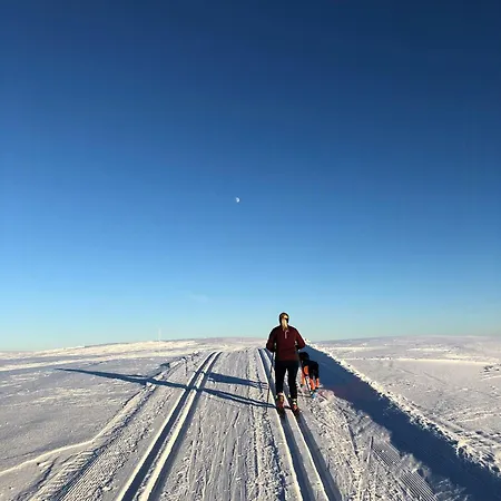 Stylish With Lovely View At Stavadalen Reinli